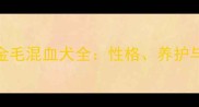 哈士奇金毛混血犬全性格养护与领养指南