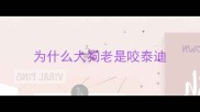 为什么大狗老是咬泰迪
