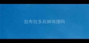 拉布拉多后脚有撩吗