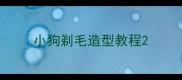 小狗剃毛造型教程