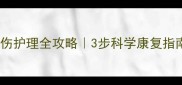 泰迪后腿肌肉拉伤护理全攻略3步科学康复指南附真实案例