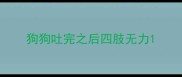 狗狗吐完之后四肢无力