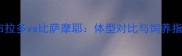 拉布拉多vs比萨摩耶体型对比与饲养指南