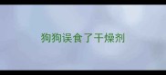 狗狗误食了干燥剂