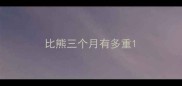 比熊三个月有多重