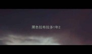 黑色拉布拉多1年