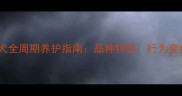 哈士奇从幼犬到成犬全周期养护指南品种特性行为变化与科学喂养要点