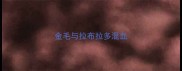 金毛与拉布拉多混血