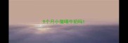 9个月小猫喝牛奶吗