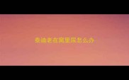 泰迪老在窝里尿怎么办