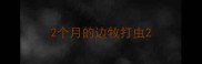 2个月的边牧打虫