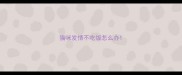 猫咪发情不吃饭怎么办