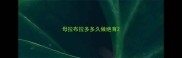 母拉布拉多多久做绝育