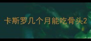 卡斯罗几个月能吃骨头