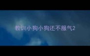 教训小狗小狗还不服气