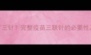 狗狗疫苗必须打三针完整疫苗三联针的必要性及科学接种方案