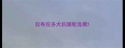 拉布拉多犬后腿轮流瘸