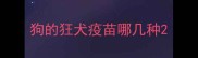 狗的狂犬疫苗哪几种