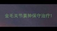金毛关节囊肿保守治疗