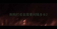 狗狗打疫苗需要间隔多长