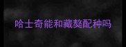 哈士奇能和藏獒配种吗
