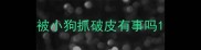 被小狗抓破皮有事吗