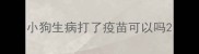 小狗生病打了疫苗可以吗