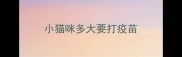 小猫咪多大要打疫苗
