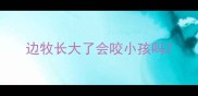 边牧长大了会咬小孩吗