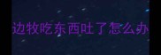 边牧吃东西吐了怎么办