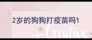 2岁的狗狗打疫苗吗