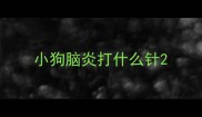 小狗脑炎打什么针