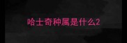 哈士奇种属是什么