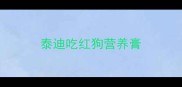 泰迪吃红狗营养膏