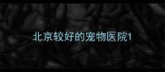 北京较好的宠物医院
