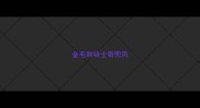 金毛和哈士奇兜风