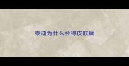 泰迪为什么会得皮肤病