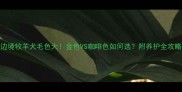 边境牧羊犬毛色大金色VS咖啡色如何选附养护全攻略