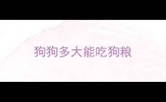 狗狗多大能吃狗粮