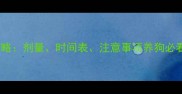 狗狗疫苗接种全攻略剂量时间表注意事项养狗必看附权威兽医建议