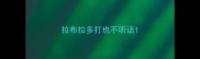 拉布拉多打也不听话