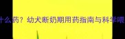 刚断奶的哈士奇需要吃什么药幼犬断奶期用药指南与科学喂养方案附用药清单