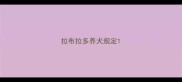 拉布拉多养犬规定
