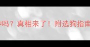 边牧有短毛品种吗真相来了附选狗指南和养护攻略