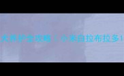 白色拉布拉多幼犬养护全攻略小米白拉布拉多1岁以内必看指南