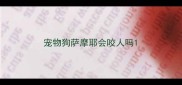 宠物狗萨摩耶会咬人吗