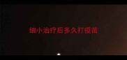 细小治疗后多久打疫苗