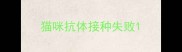 猫咪抗体接种失败
