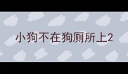 小狗不在狗厕所上