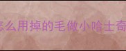 怎么用掉的毛做小哈士奇